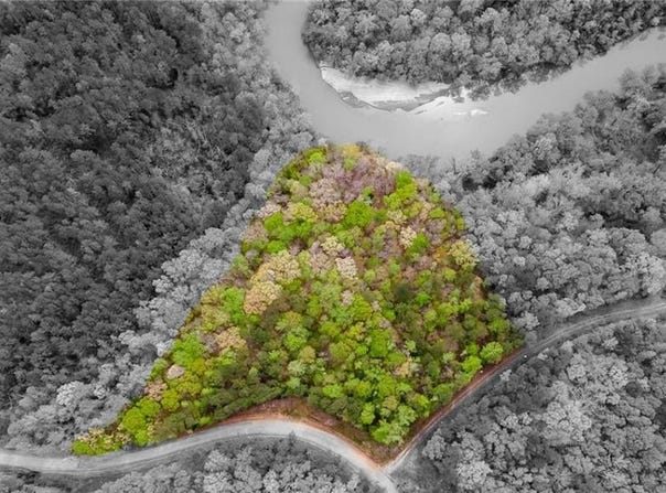 631 Lee Road 889, Valley, AL 36854