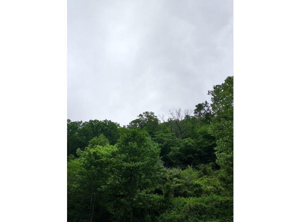 186 Old Davy Rd, DAVY, WV 24828