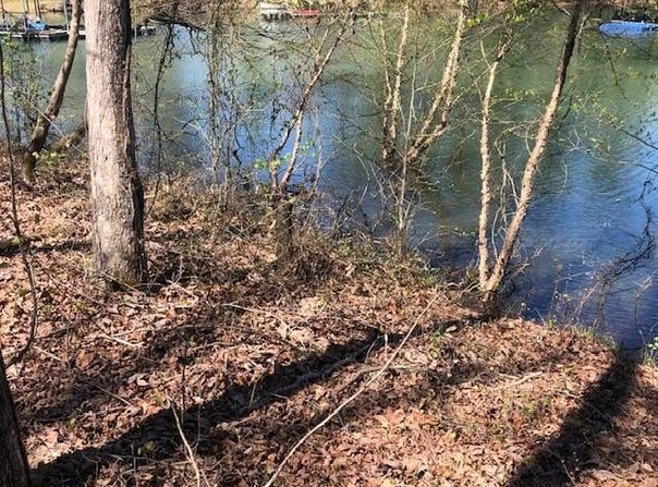 W POINT DRIVE lot: 2 & 3, Arley, AL 35541