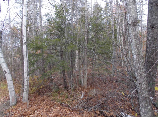 Mittenwald Strasse Road lot: 49, Bartlett, NH 03812