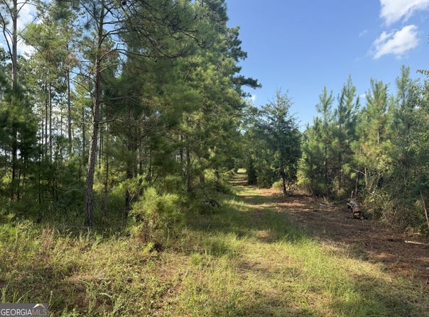 002 George Milling Road, Cuthbert, GA 39840