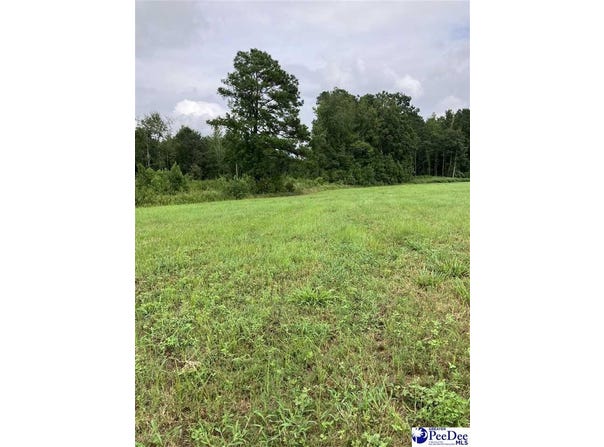 140 PINKNEY RD., KINGSTREE, SC 29401