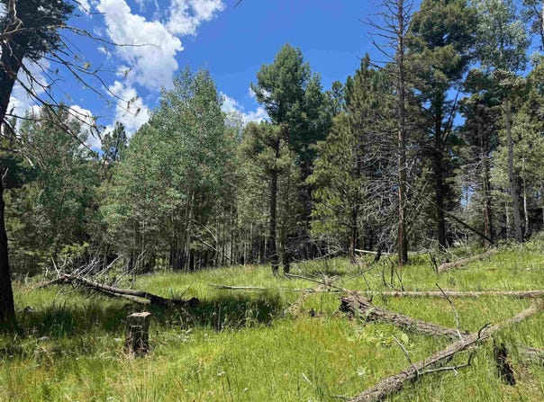 Lot 44 Calle de los Indios, Angel Fire, NM 87710