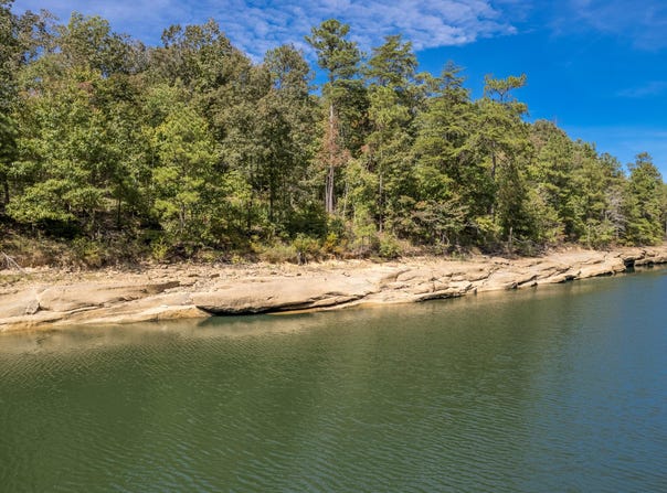 1567 BIG BEAR BRANCH Rd, Double Springs, AL 35553