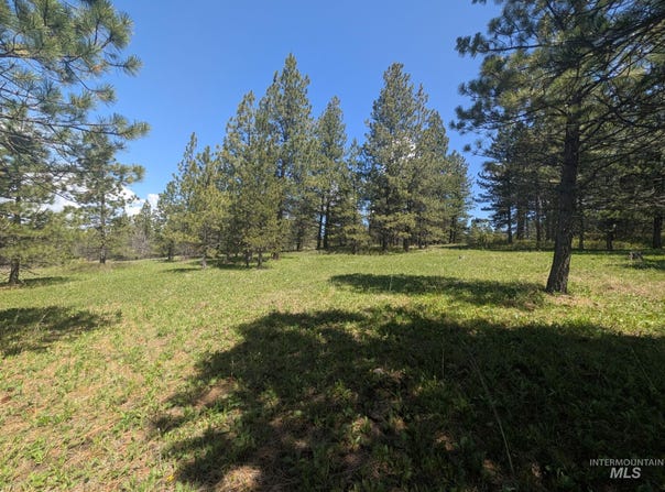 Jackpine Rd, CottonWood, ID 83522