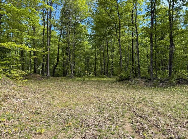 TBD Off State Highway M-26, Painesdale, MI 49955