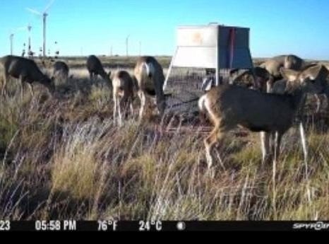 397 County Road 160, Southland, TX 79364