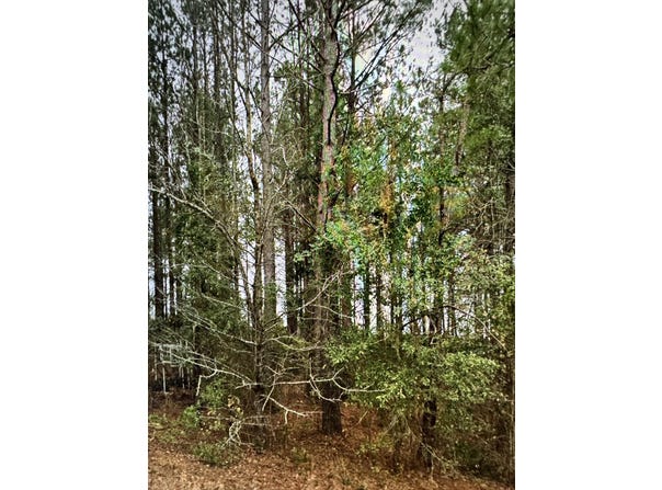 60 Olin Goode Drive, Sumter, SC 29153