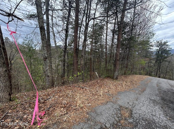Lot 007b Shagbark Hickory Ridge, Sevierville, TN 37862