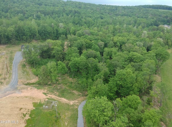 Bear Rock Road, Lilly, PA 15938