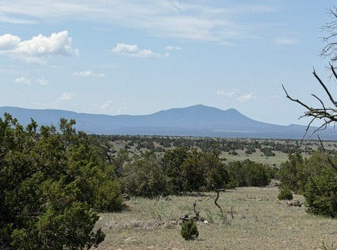 22 RUNNING BEAR Cir, Quemado, NM 87829