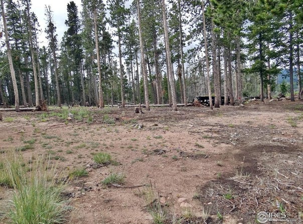 1921 Osage Trl, Red Feather Lakes, CO 80545