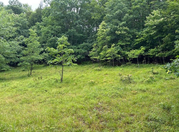 0 Alton Road, French Creek, WV 26218
