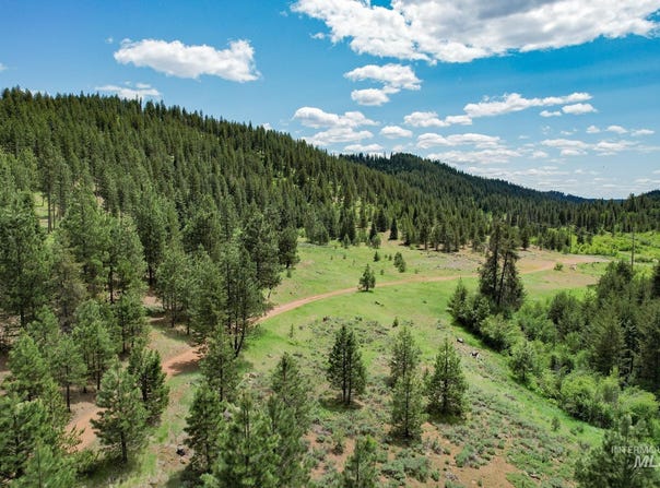 Highway 95, New Meadows, ID 83654