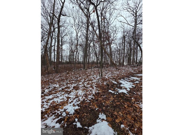 HUTTLE, MIDDLETOWN, VA 22645