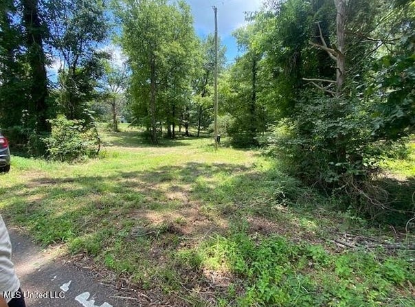 0 Mcgowen Road, Lake Cormorant, MS 38641