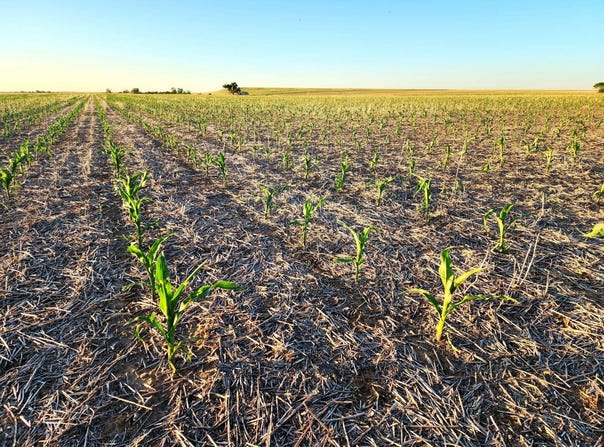 TBD County Road 59, Yuma, CO 80759