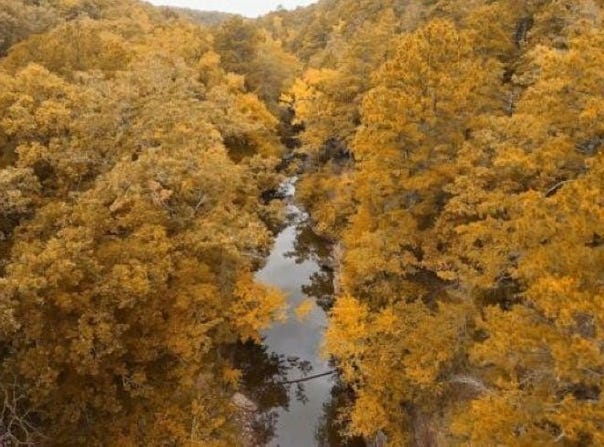00 Countryside Drive, Quitman, AR 72131