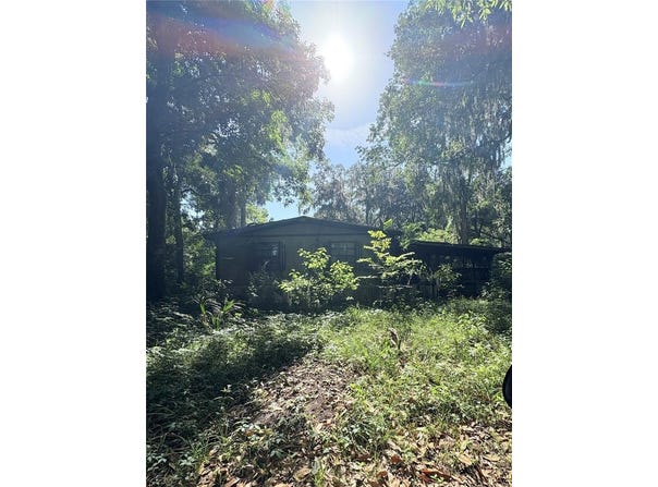 3553 NE 162ND PLACE, CITRA, FL 32113