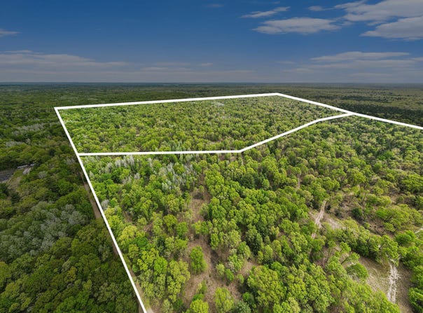V/L S 136th Avenue, Rothbury, MI 49452