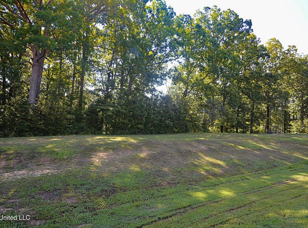 155 Oak Ridge Lakes Drive, Coldwater, MS 38618