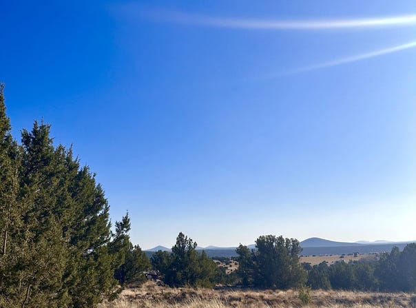 14 8249 County Road, Concho, AZ 85924