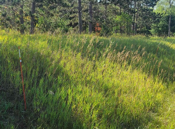 0002 M-66 SE, Fife Lake, MI 49633