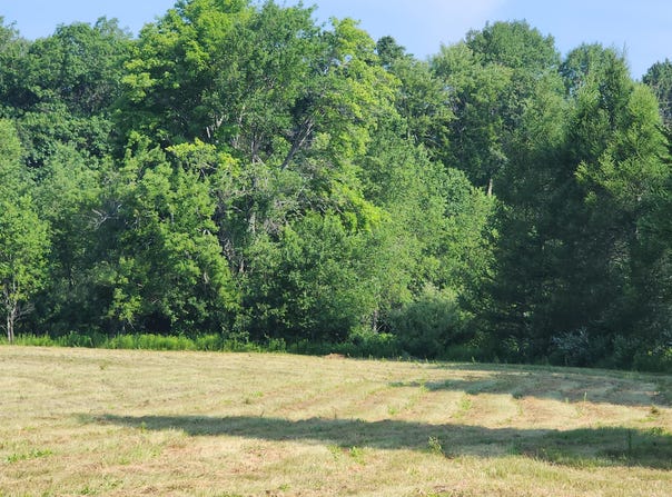 2600 W Fowler Road, Barton City, MI 48705