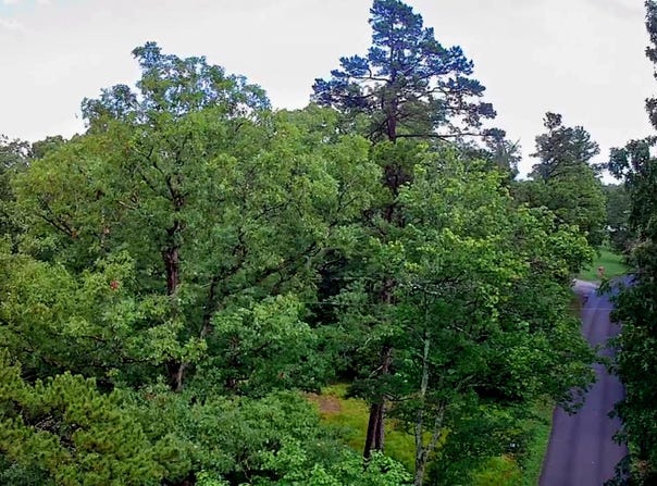 381 Patton School Road, South Pittsburg, TN 37380