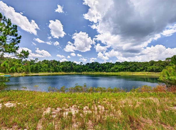 MALAUKA Loop, OCKLAWAHA, FL 32179