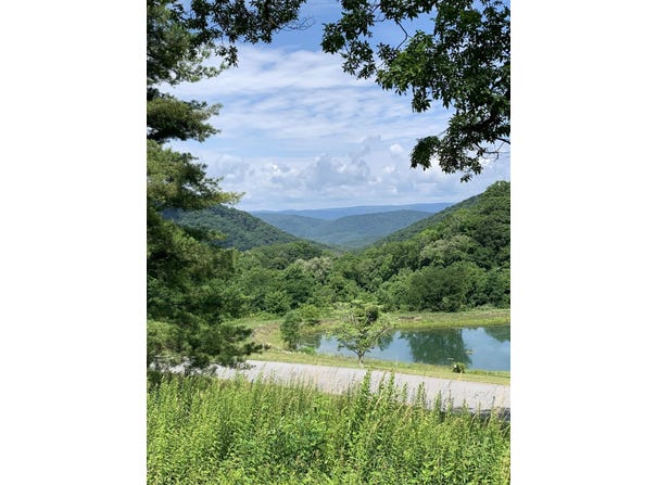 68 SHEEP MEADOW RD, HOT SPRINGS, VA 24445