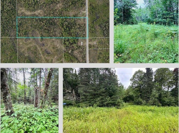 51801 Townhall Road, Squaw Lake, MN 56681