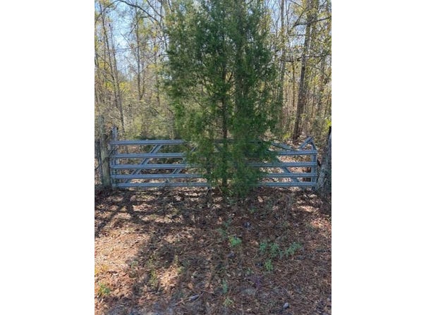0 Bowden Rd, Honoraville, AL 36042