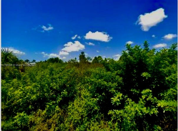 7473 Austrian Blvd, Punta Gorda, FL 33982