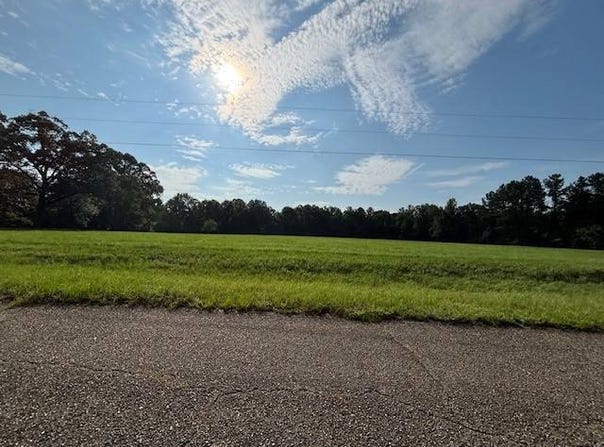 00 Good Hope Rd, Dozier, AL 36028