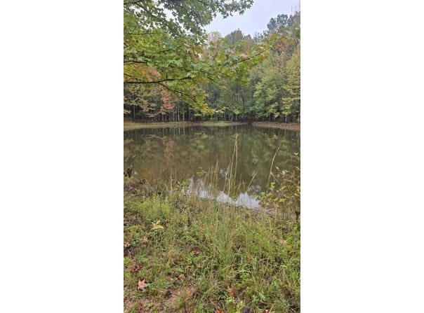 CR 100, Walnut, MS 38683