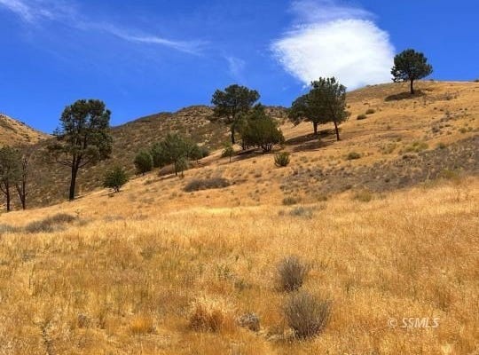 3200 Shadow Mountain DR, Lake Isabella, CA 93240