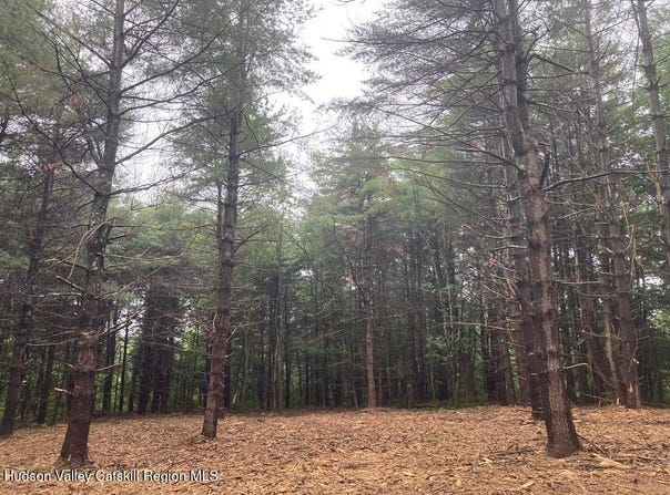 Lot 6 County Rte 51, Coxsackie, NY 12051