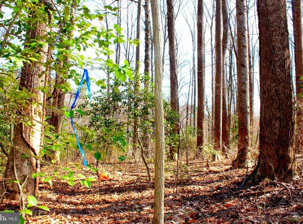 SCOTT CIRCLE, MECHANICSVILLE, MD 20659