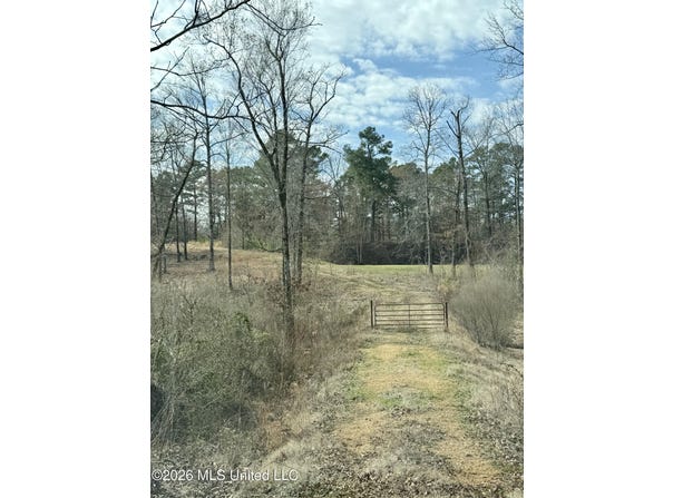 5665 Mcingvale Road, Hernando, MS 38632