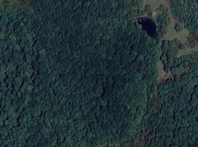 0 783 Highway, Coushatta, LA 71019