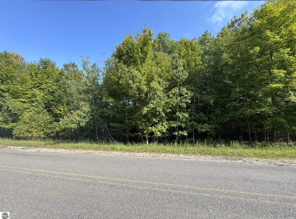 E Old Mountain Road lot: 4, Cedar, MI 49621