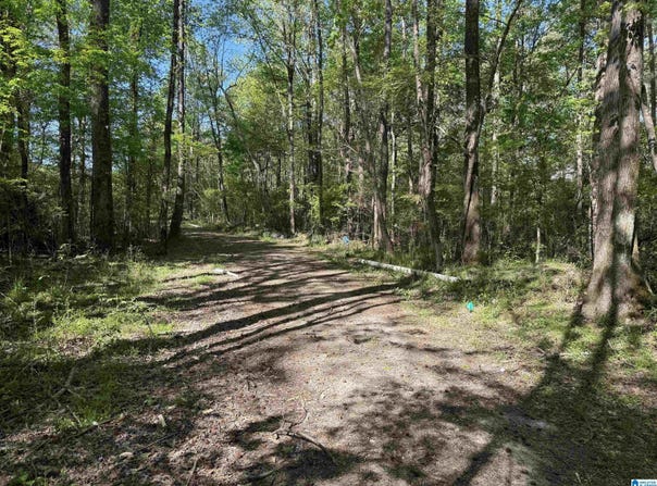 0 RAILROAD LANE, MARGARET, AL 35112