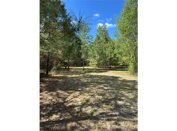 1449 SE OCTOBER Road, LAKE CITY, FL 32025