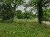 1233 W Henderson Street, Paris, TX 75460