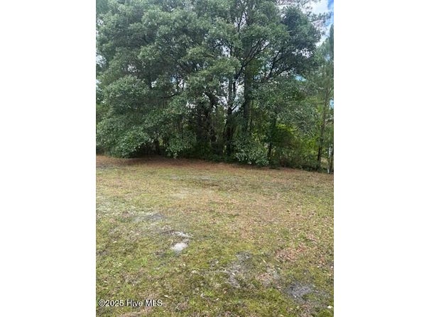 0 Us 17 Highway, Hampstead, NC 28443