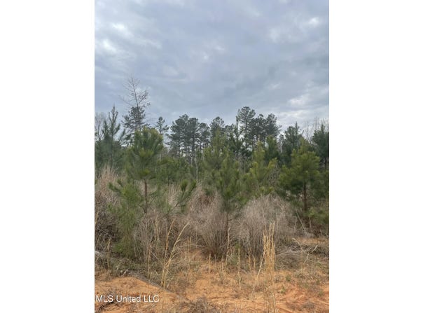 Co Rd 419, Calhoun City, MS 38916