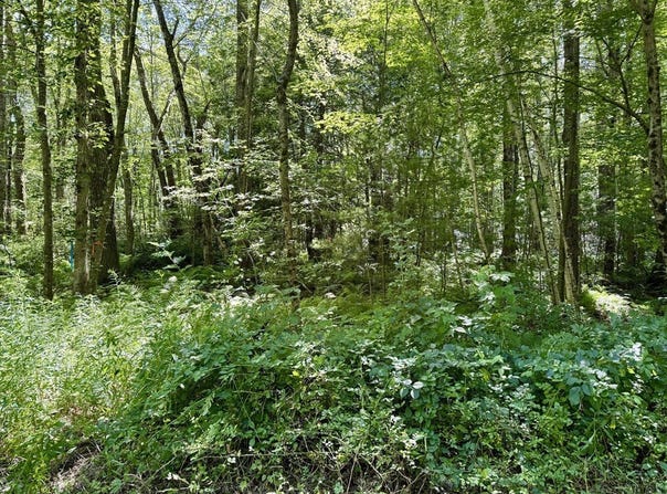 Lot 2 Greenville Street, Spencer, MA 01562