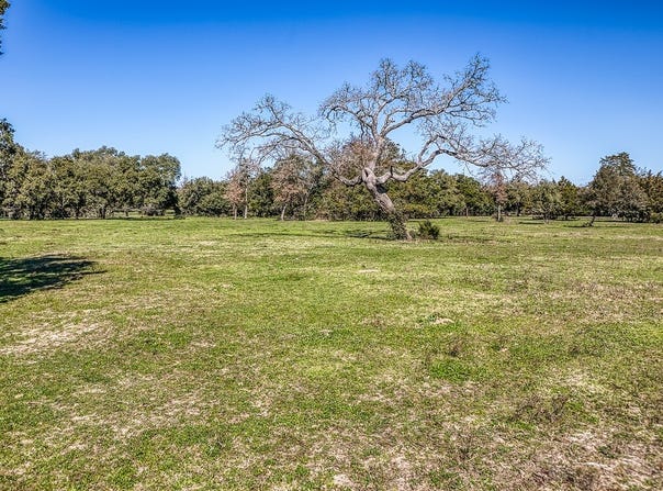 444 North Nassau Road, Round Top, TX 78954