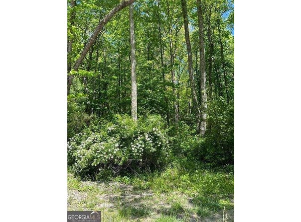 Sunrise Valley Road, Blue Ridge, GA 30513